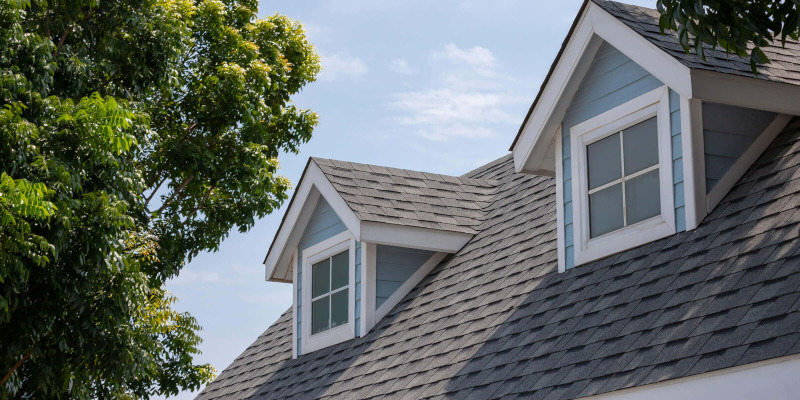 What Are The Health Benefits of a Clean Roof?
